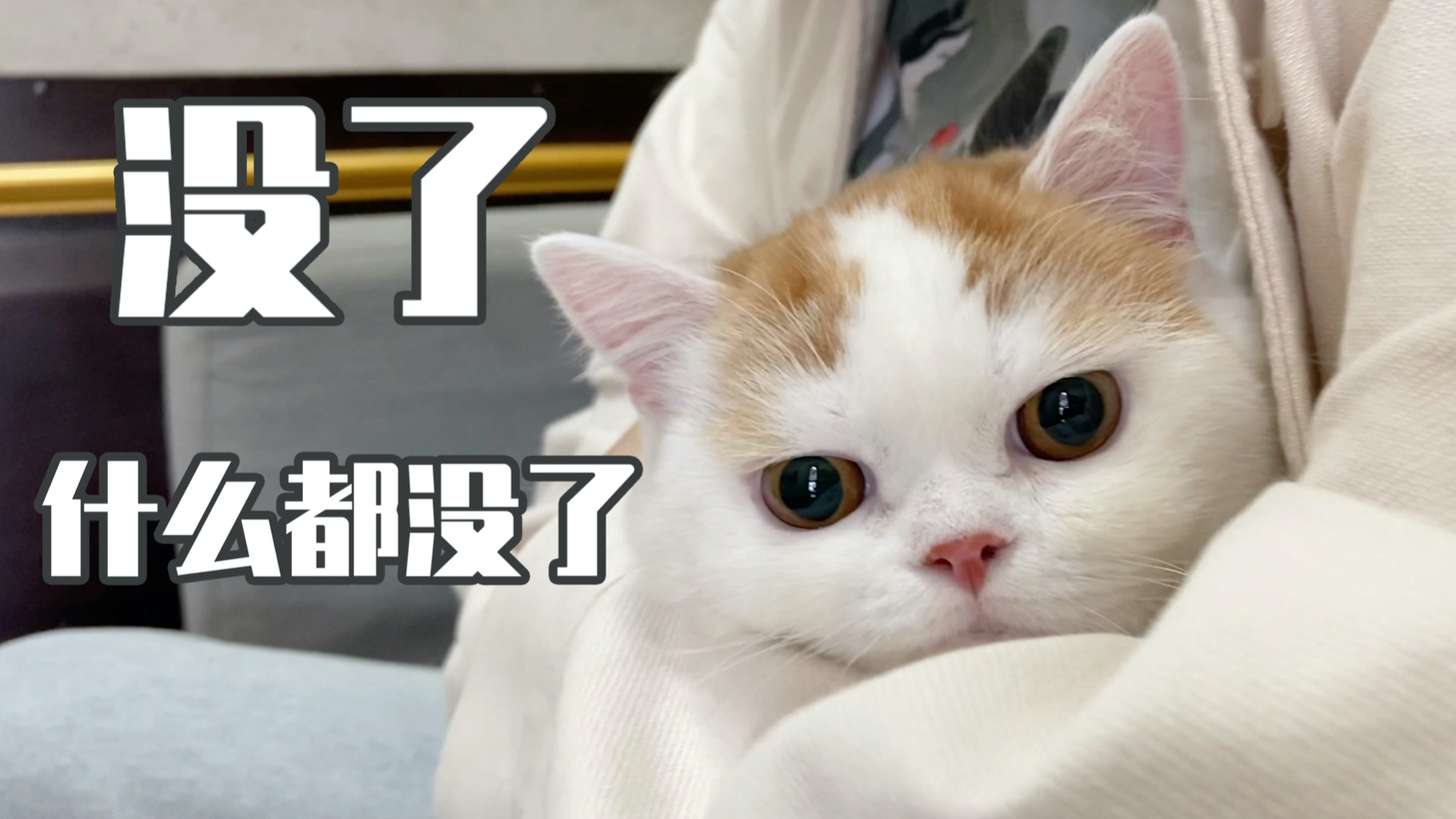 小玉不光失去了蛋蛋,也失去了姐姐的宠爱